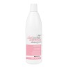 Champú antiencrespamiento pro master Dikson