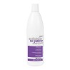 Champú anti amarillo pro master Dikson